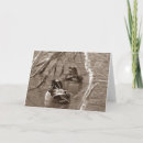 Recherche de faune toutes vœux cartes Photographie