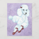 Recherche de pantoufle cartes postales Chien