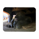 Recherche de troll magnets Pour tous