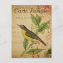 Recherche de oiseaux verticales cartes postales Floral