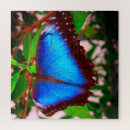 Recherche de morpho puzzles Bleu