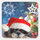 Recherche de shih tzu dog autocollants Noël
