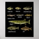 Recherche de truite de ruisseau posters Pêche en haute mer