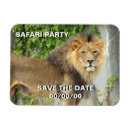 Recherche de grand chat invitations Safari