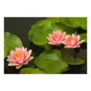 Recherche de kenilworth posters Fleur