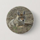 Recherche de photographique badges Photographie de la nature