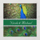 Recherche de paon fier cartes postales Plume