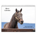 Recherche de chevaux calendriers Harnais