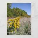 Recherche de champ verticales cartes postales Automne