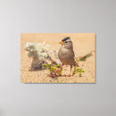 Recherche de de faune impressions sur toile Portrait