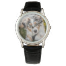 Recherche de bergers australiens accessoires Chiot