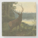 Recherche de vue dessous de verres Animal