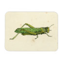 Recherche de encadrement maison magnets Nature