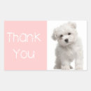 Recherche de chien rose autocollants Merci