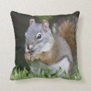 Recherche de colombes coussins Faune