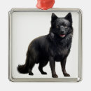 Recherche de petit chien ornements Dog