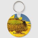 Recherche de bourdon Tournesol