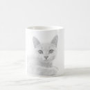 Recherche de chaton photographie Animal de compagnie