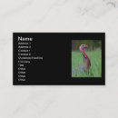 Recherche de papier dinde cartes visite Nature