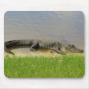Recherche de alligators tapis souris Pour lui