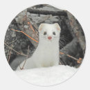 Recherche de hermine autocollants Animal