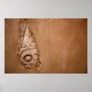Recherche de pilier posters Temple