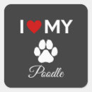 Recherche de chien de caniche autocollants Chiots