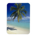 Recherche de bora bora magnete Vacances