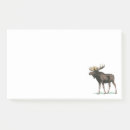 Recherche de orignaux de taureau posters Cerfs communs