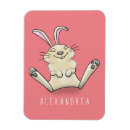 Recherche de lapin magnets Illustration