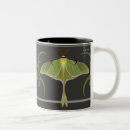 Recherche de la luna tasses Vert