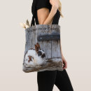 Recherche de mammifères sacs Ferme