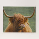 Recherche de cow puzzles Vache