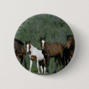 Recherche de mustang badges Groupe