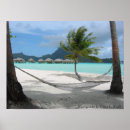 Recherche de hamac art Palmier