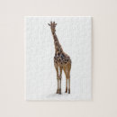 Recherche de girafffes puzzles Mammifère