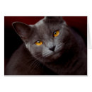 Recherche de yeux correspondances cartes Chat