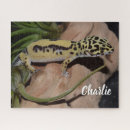 Recherche de gecko puzzles Nature