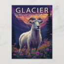 Recherche de parc national de glacier cartes postales Faune