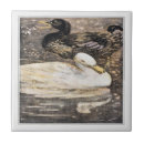 Recherche de canards carreaux Animaux