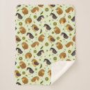 Recherche de kiwi oiseau maison deco Nature