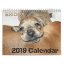 Recherche de teckel calendriers Doxie