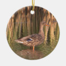 Recherche de canard ornements Pour tous