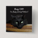 Recherche de insectes badges Toute personne