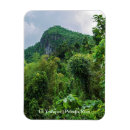 Recherche de foret magnets Jungle
