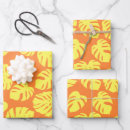 Recherche de plantes papier cadeau Boho