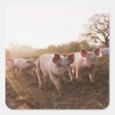 Recherche de hybrides autocollants Nature