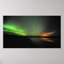 Recherche de lorie posters Nature