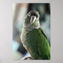 Recherche de hérisson posters Photographie