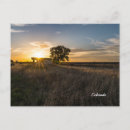 Recherche de hangar cartes postales Paysage